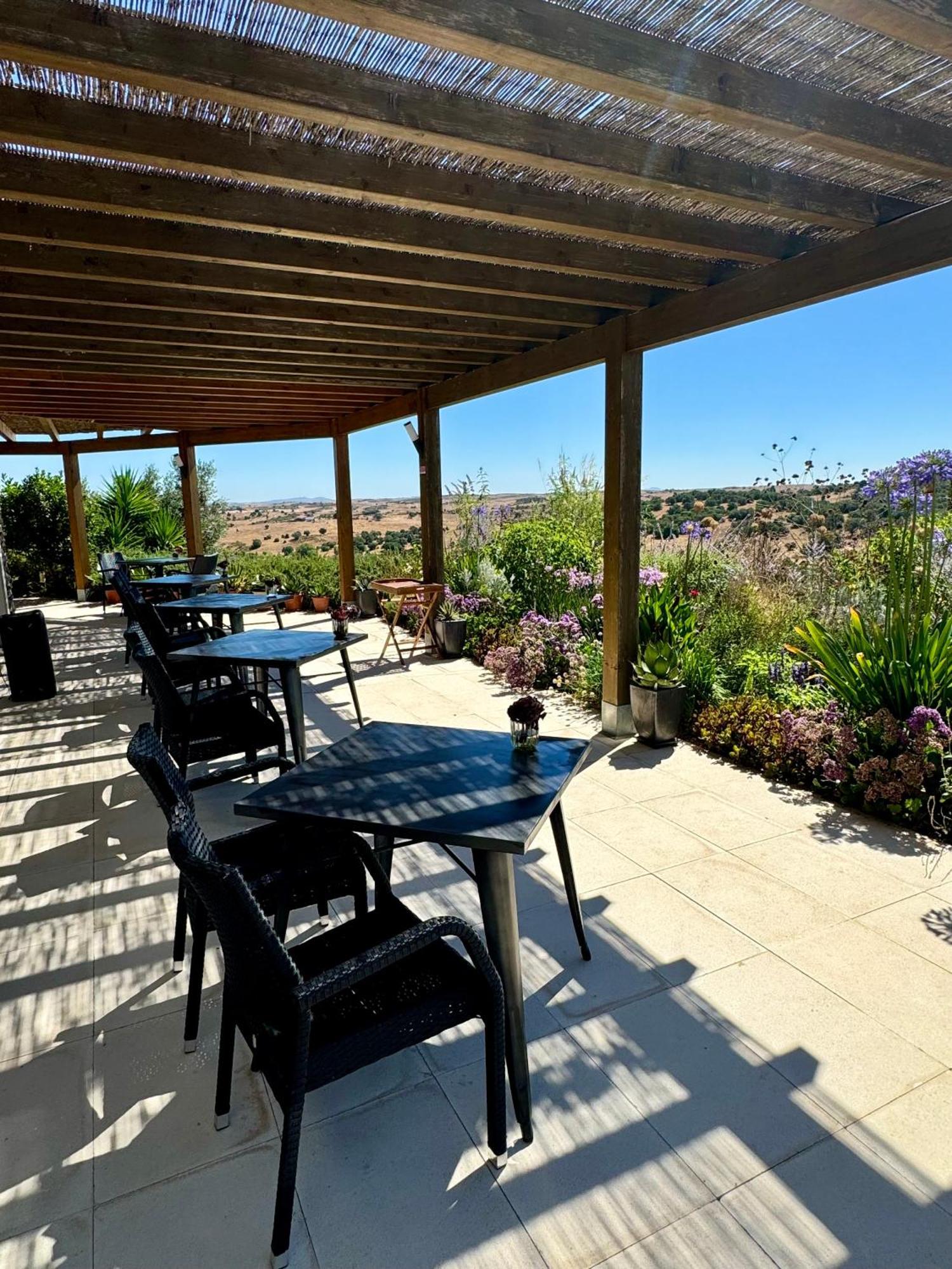 Vistas - Herdade Do Zambujal 威尔蒂堡 外观 照片