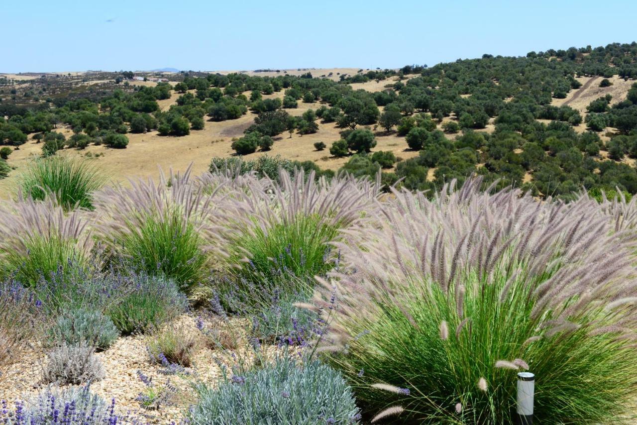 Vistas - Herdade Do Zambujal 威尔蒂堡 外观 照片